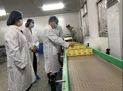 同心抗疫，确保质量！光华公司振隆厂表车间接受广药集团出产监督保险幼组工作督导
