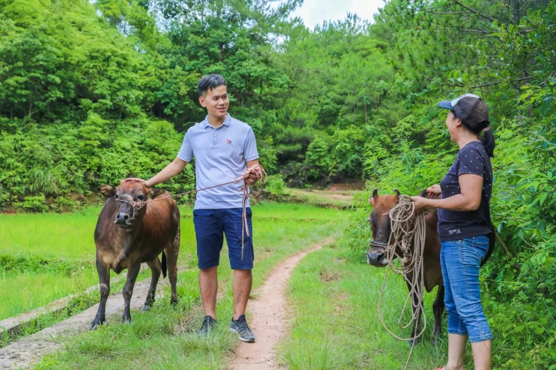 喜讯|白云山光华公司驻村干部巫幼锦荣获广东省2019-2020年脱贫攻坚工作凸起贡献幼我传递表彰